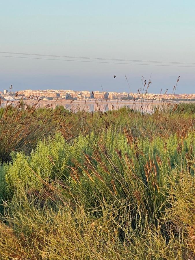 Apartamento Exclusivo Y Central Torrevieja Ngoại thất bức ảnh